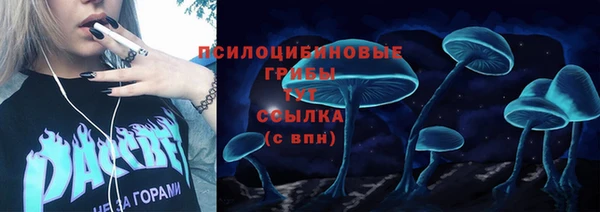 Альфа ПВП Богданович