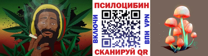 Псилоцибиновые грибы мухоморы мега ONION Бирюсинск