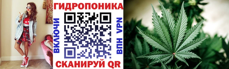МАРИХУАНА сатива  Бирюсинск 